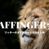 AFFINGER5フッターのカスタマイズ方法まとめ